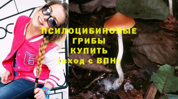MESCALINE Гусь-Хрустальный