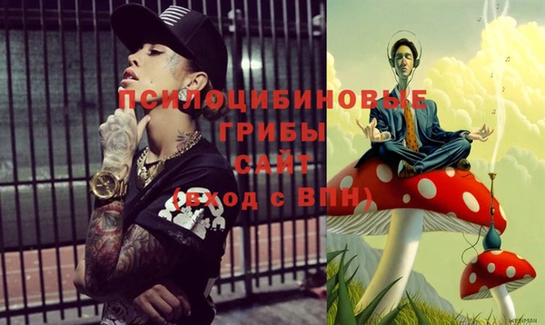 метамфетамин Гусев
