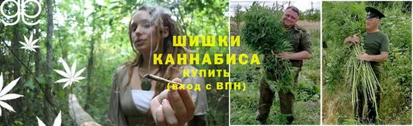 2c-b Гусиноозёрск