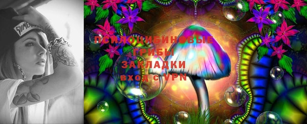 MESCALINE Гусь-Хрустальный