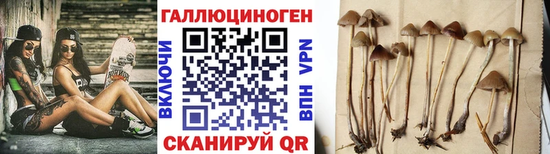 Галлюциногенные грибы Psilocybine cubensis  KRAKEN рабочий сайт  Новоржев  наркота 