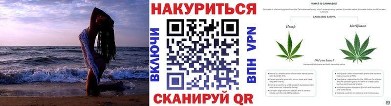 Шишки марихуана семена Новоржев